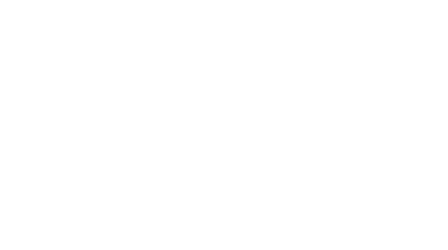 ZOIS International